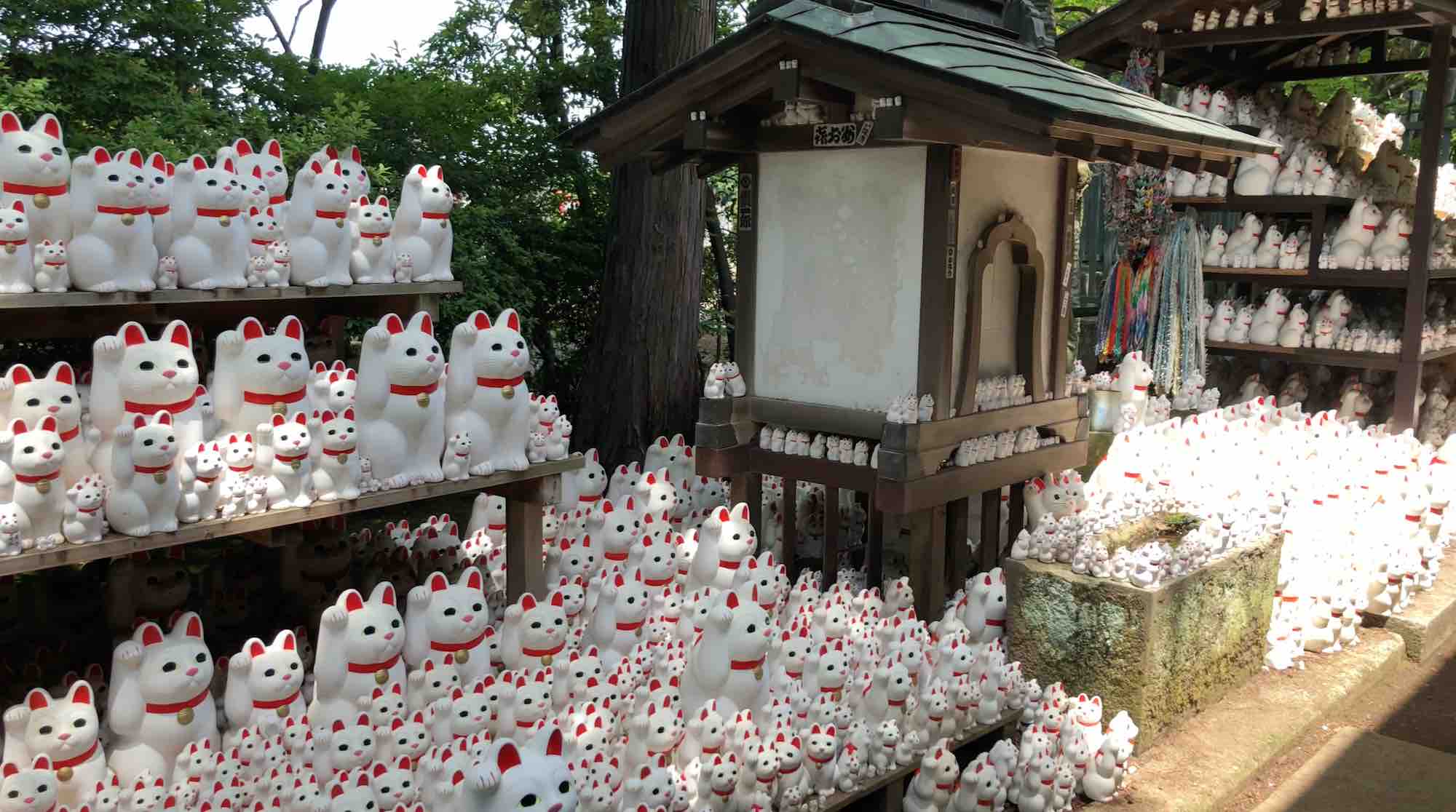 Gotoku-ji : Le temple du Maneki-Neko (chats) à Tokyo